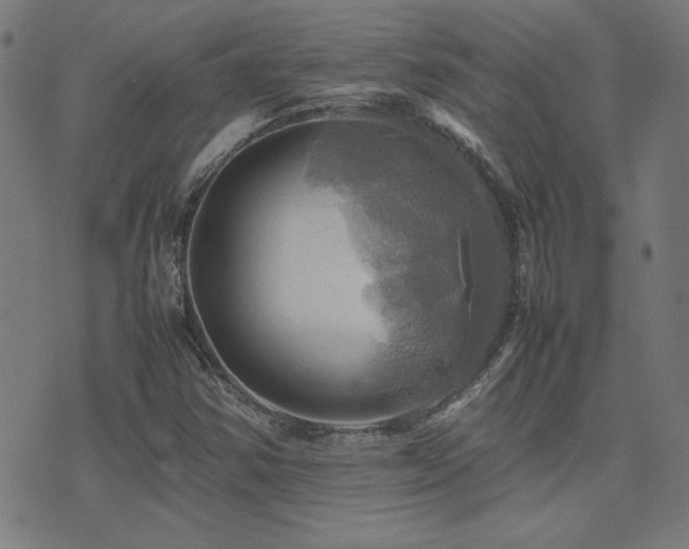 X0000075381354200609081154