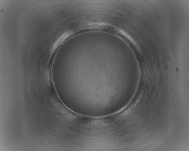 X0000075381362200609081154