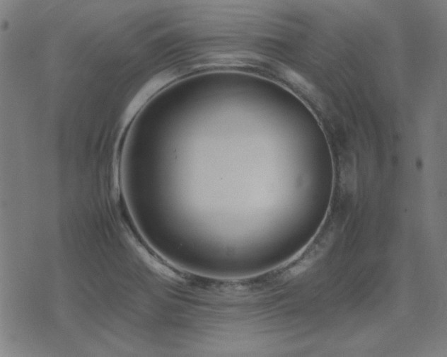 X0000075381370200609081154
