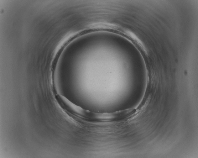 X0000075381376200609081154