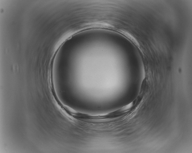 X0000075381391200609081153