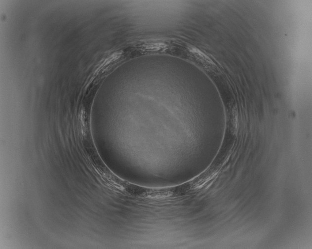X0000075381394200609081153