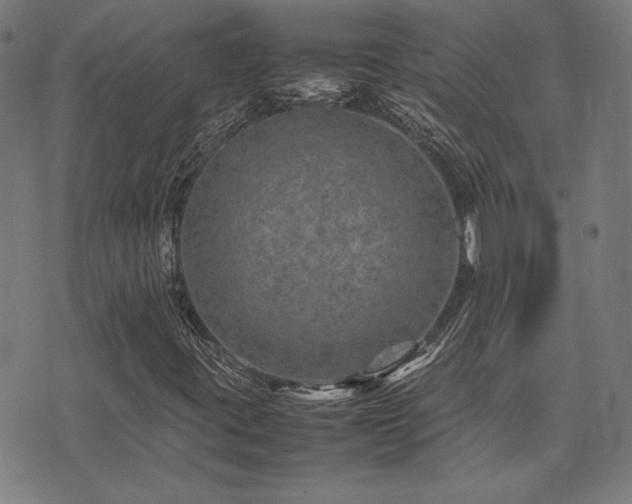 X0000075381395200609081153