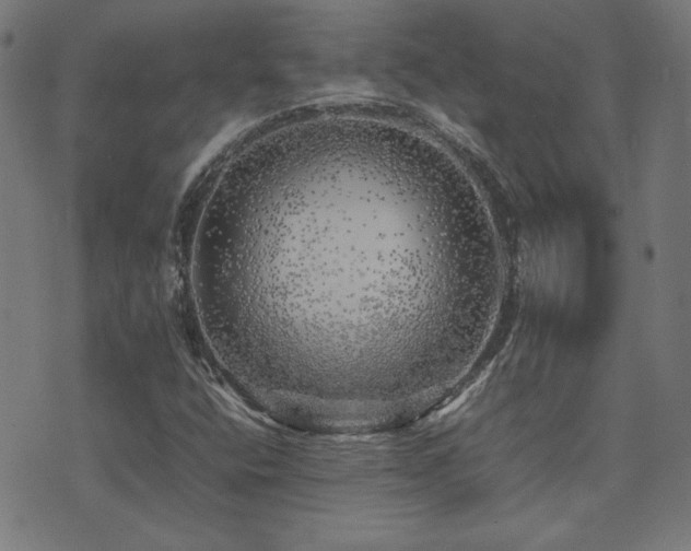 X0000075381400200609081153