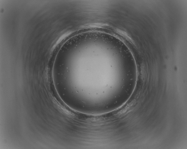 X0000075381404200609081153