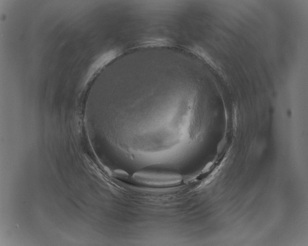 X0000075381405200609081153