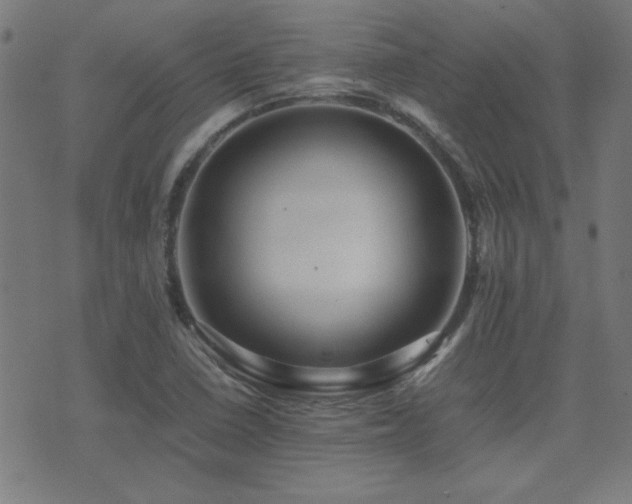 X0000075381410200609081153