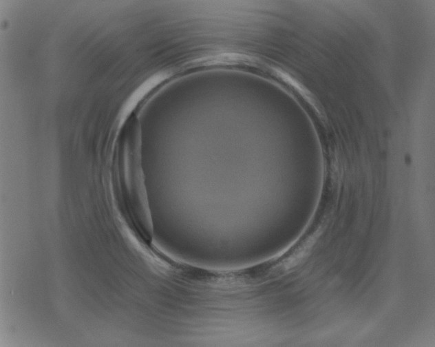 X0000075381418200609081153
