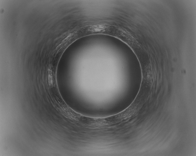 X0000075381442200609081153