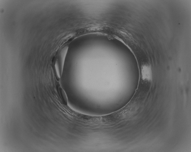 X0000075381444200609081153