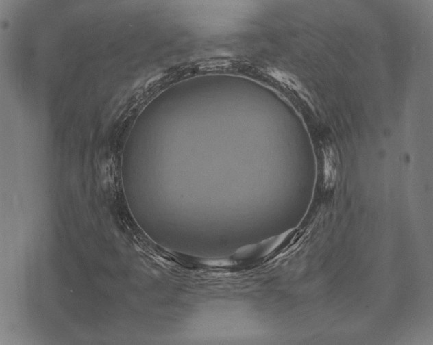 X0000075381445200609081153