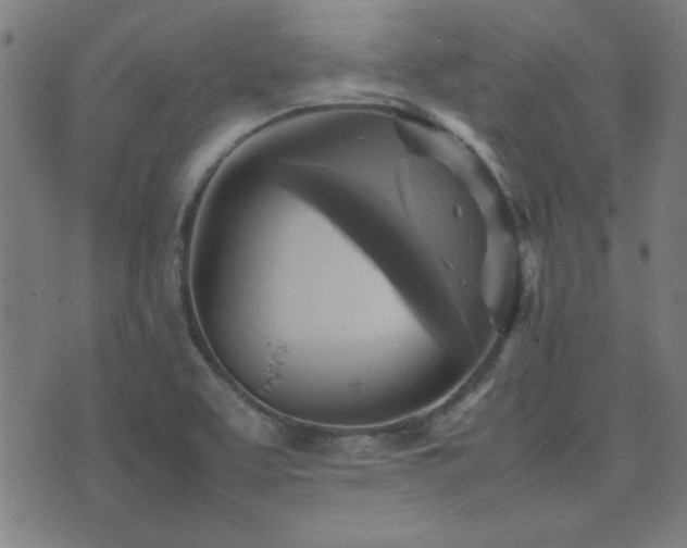 X0000075381463200609081152