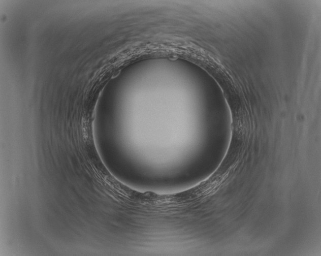 X0000075381490200609081151