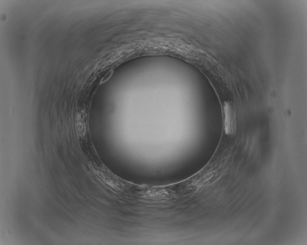 X0000075381491200609081151