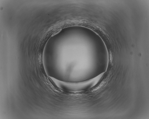 X0000075381492200609081151