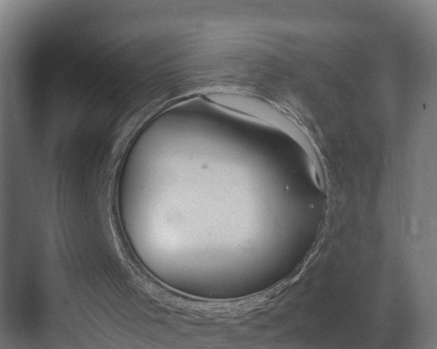 X0000075380001200609151741