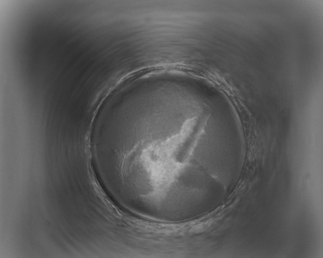 X0000075380002200609151741