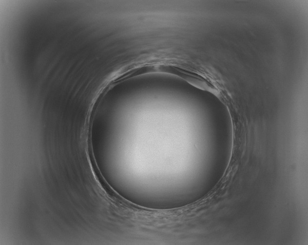 X0000075380003200609151740