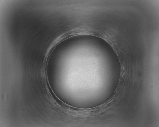 X0000075380004200609151740