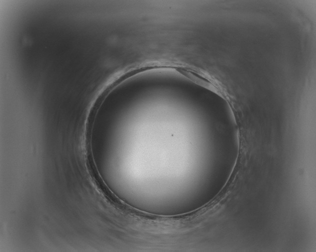 X0000075380008200609151740