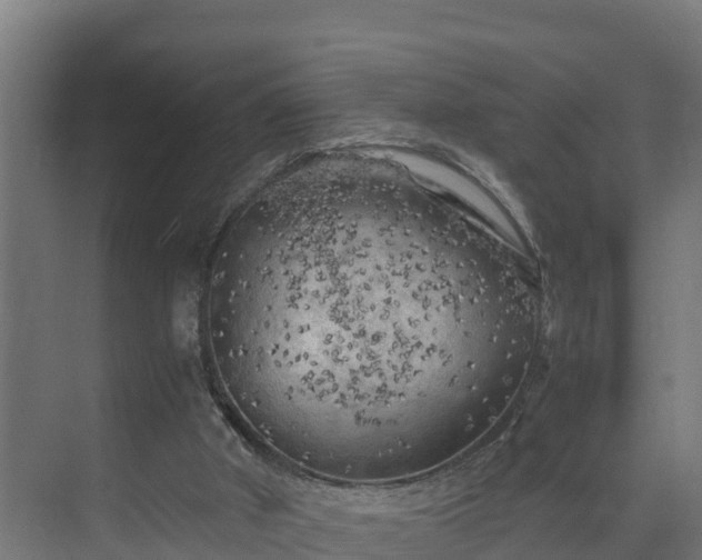 X0000075380010200609151740