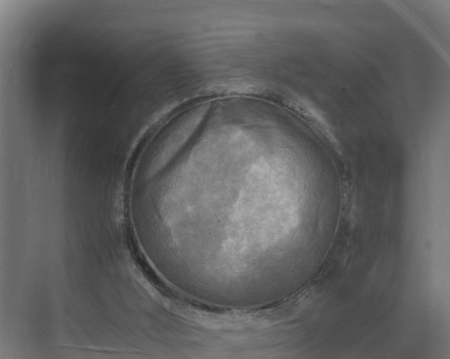 X0000075380012200609151740