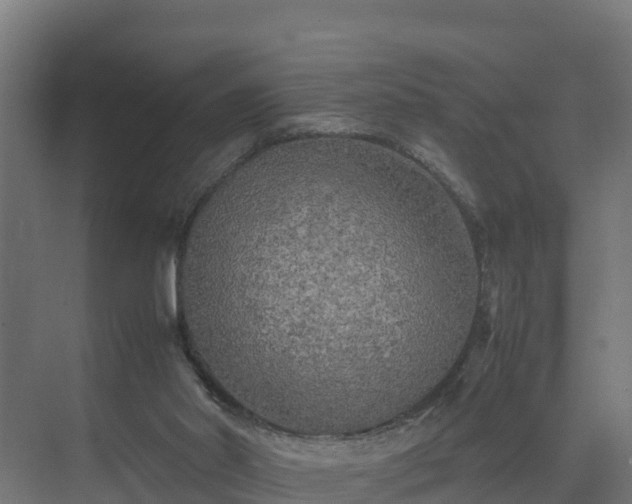 X0000075380014200609151740