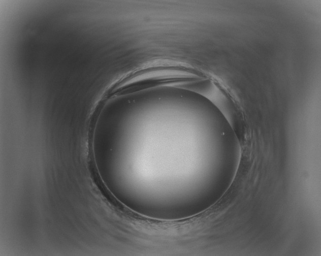 X0000075380015200609151740