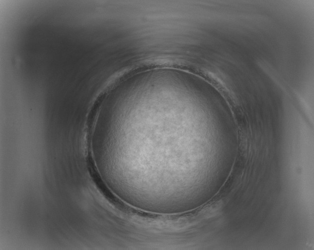 X0000075380016200609151740