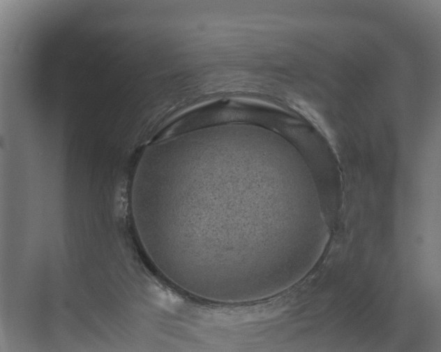 X0000075380017200609151740