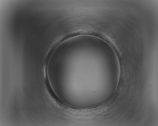 X0000075380019200609151740