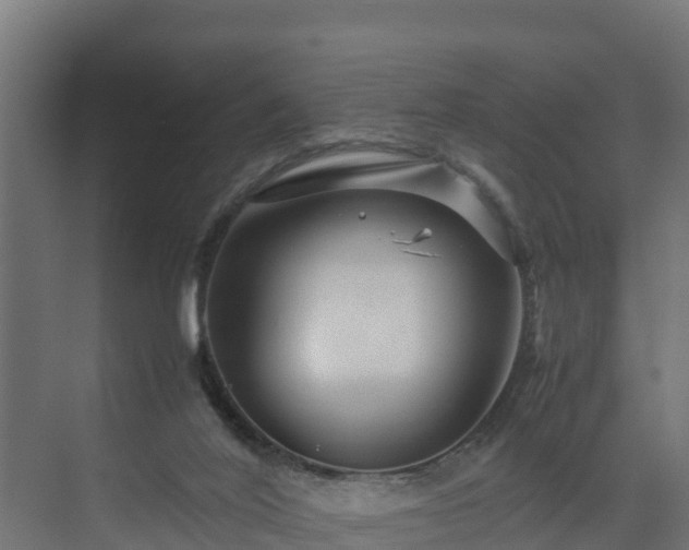 X0000075380020200609151740