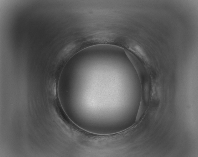 X0000075380021200609151740