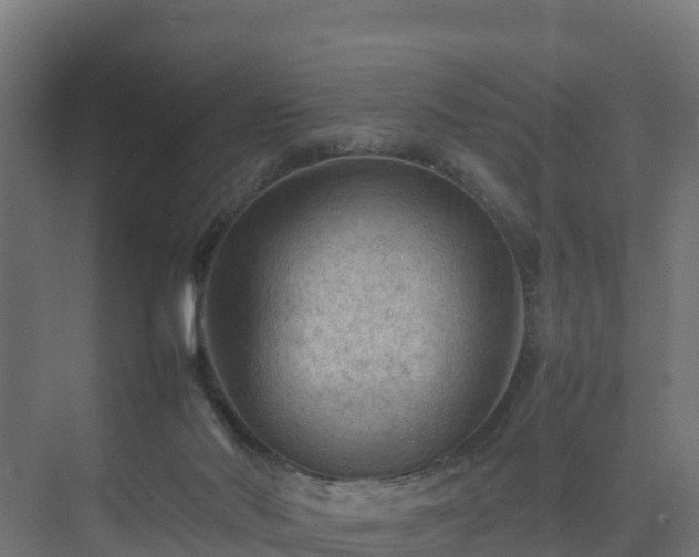 X0000075380022200609151740