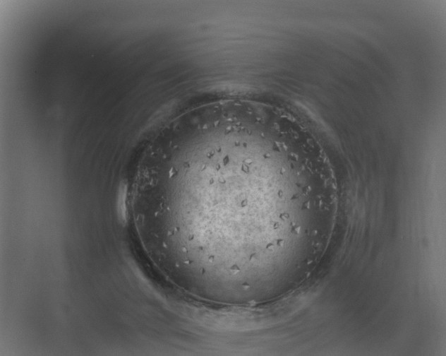 X0000075380024200609151740