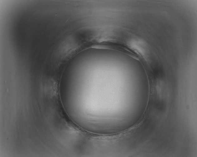 X0000075380025200609151740