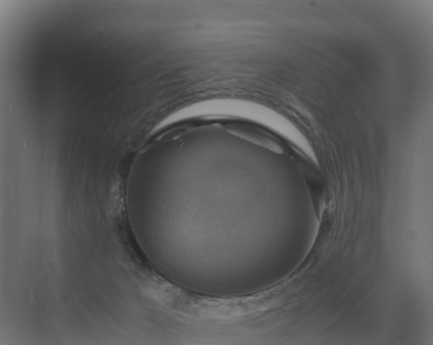 X0000075380029200609151740