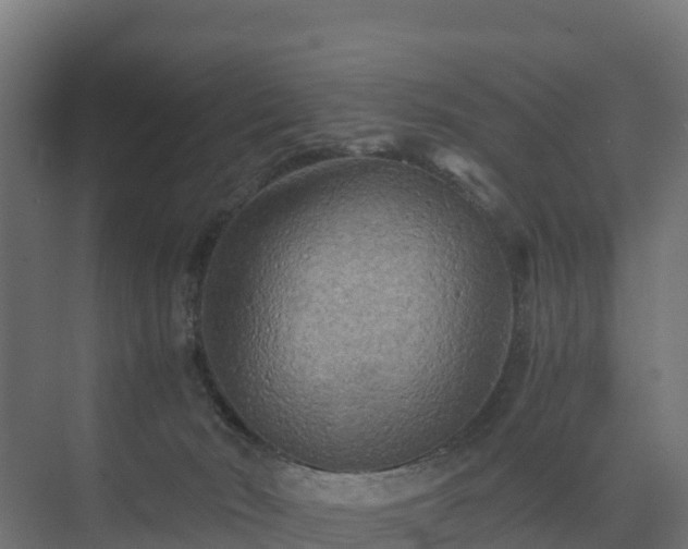 X0000075380030200609151740