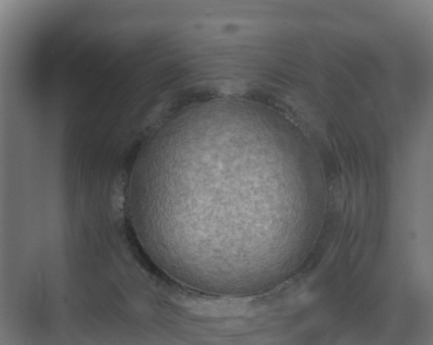 X0000075380032200609151740