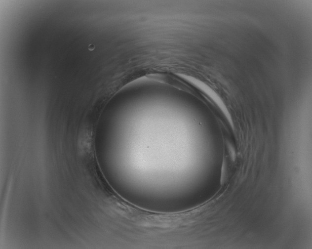 X0000075380033200609151740