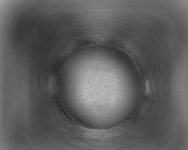 X0000075380034200609151740