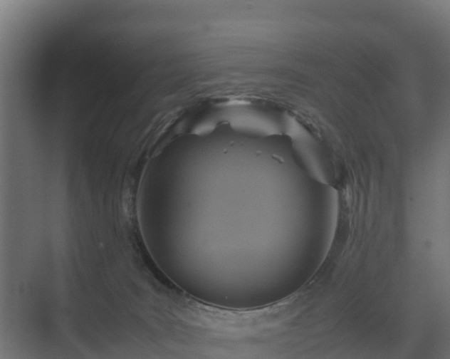 X0000075380035200609151740