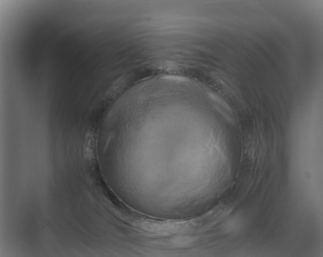 X0000075380036200609151740