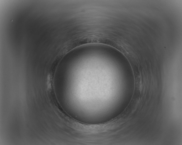 X0000075380038200609151740