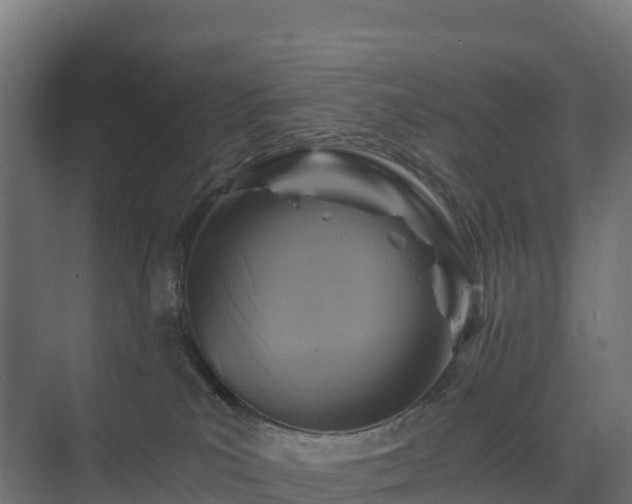 X0000075380039200609151740