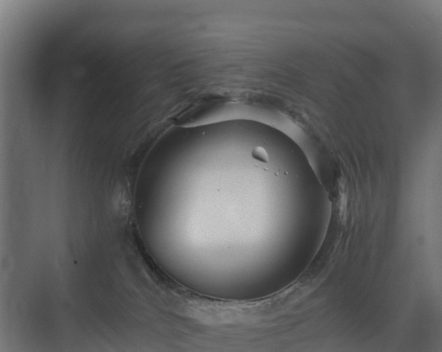 X0000075380040200609151740