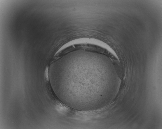 X0000075380041200609151740