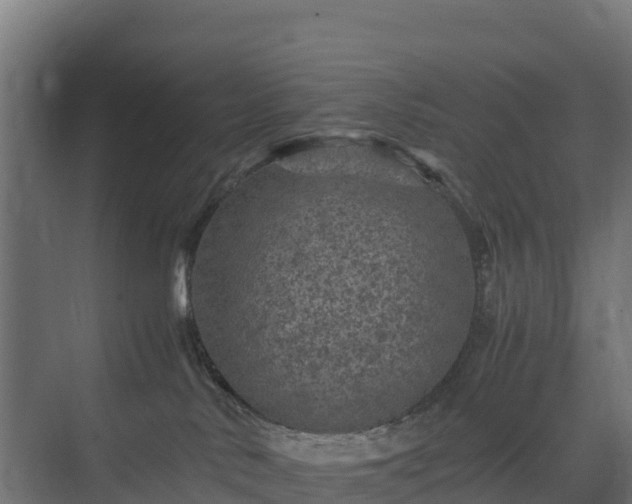 X0000075380042200609151740