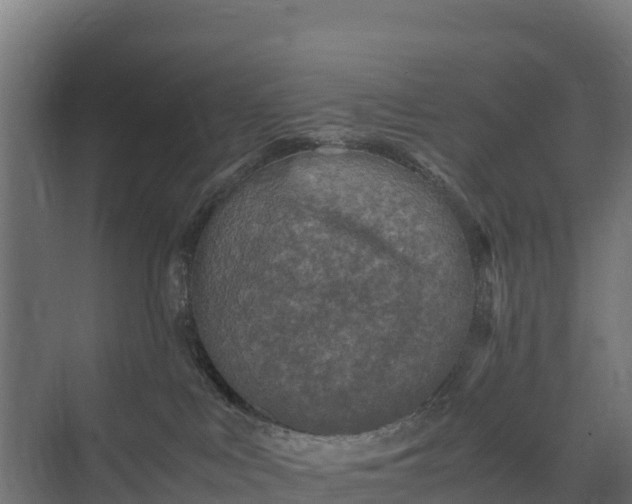 X0000075380043200609151740