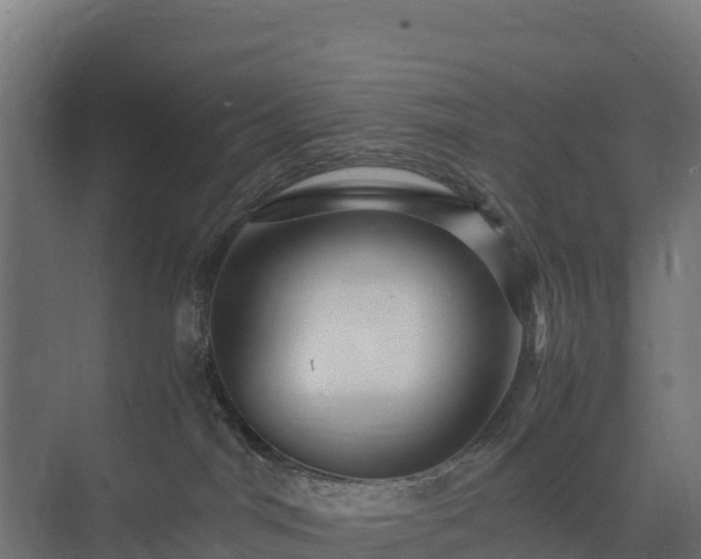 X0000075380044200609151740